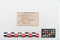 Etikett zu Bronzearmreif (NHMW-PRAE-024075)